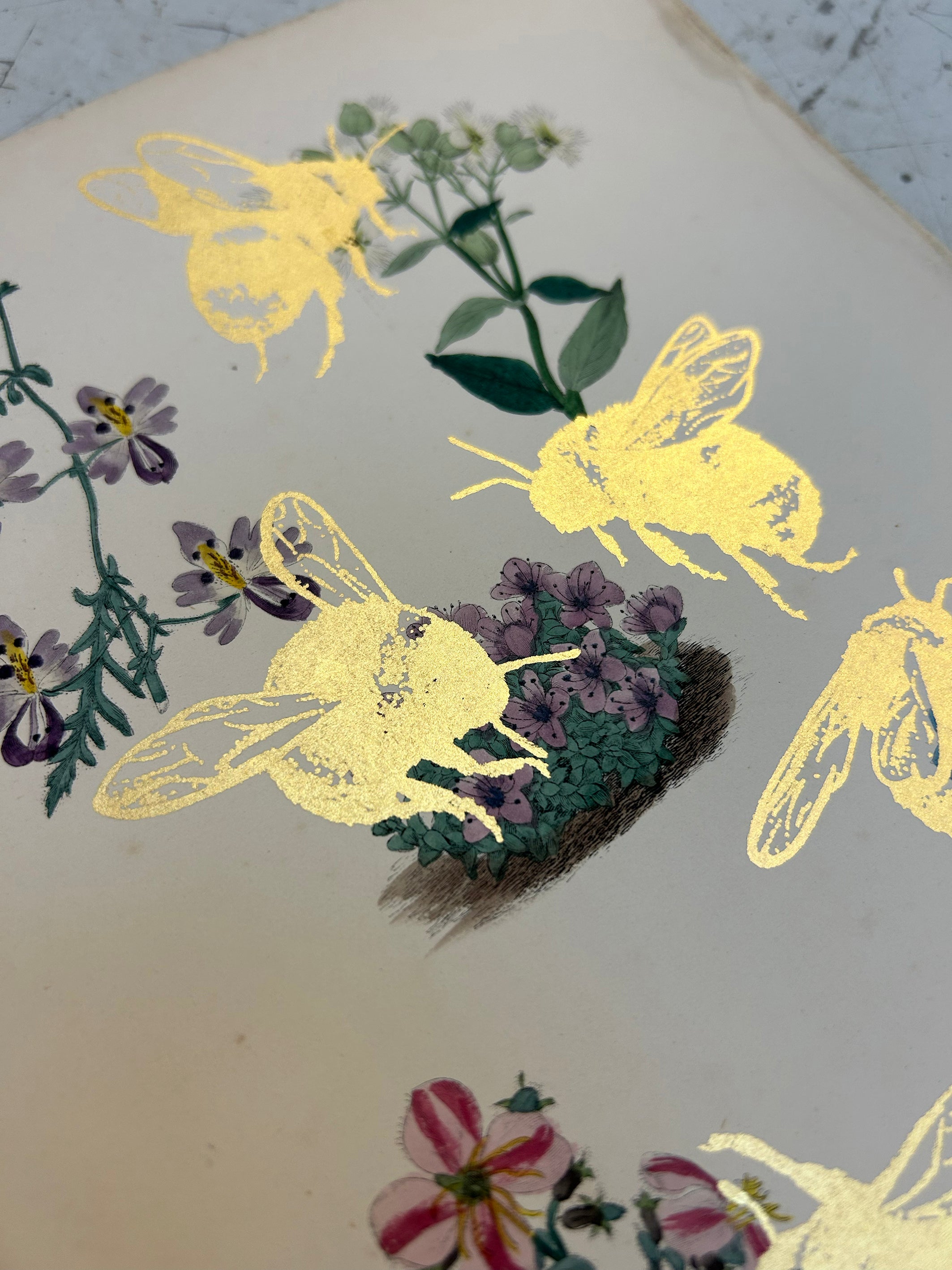 MORE BEES PLEASE (ROY'S DROP) #16