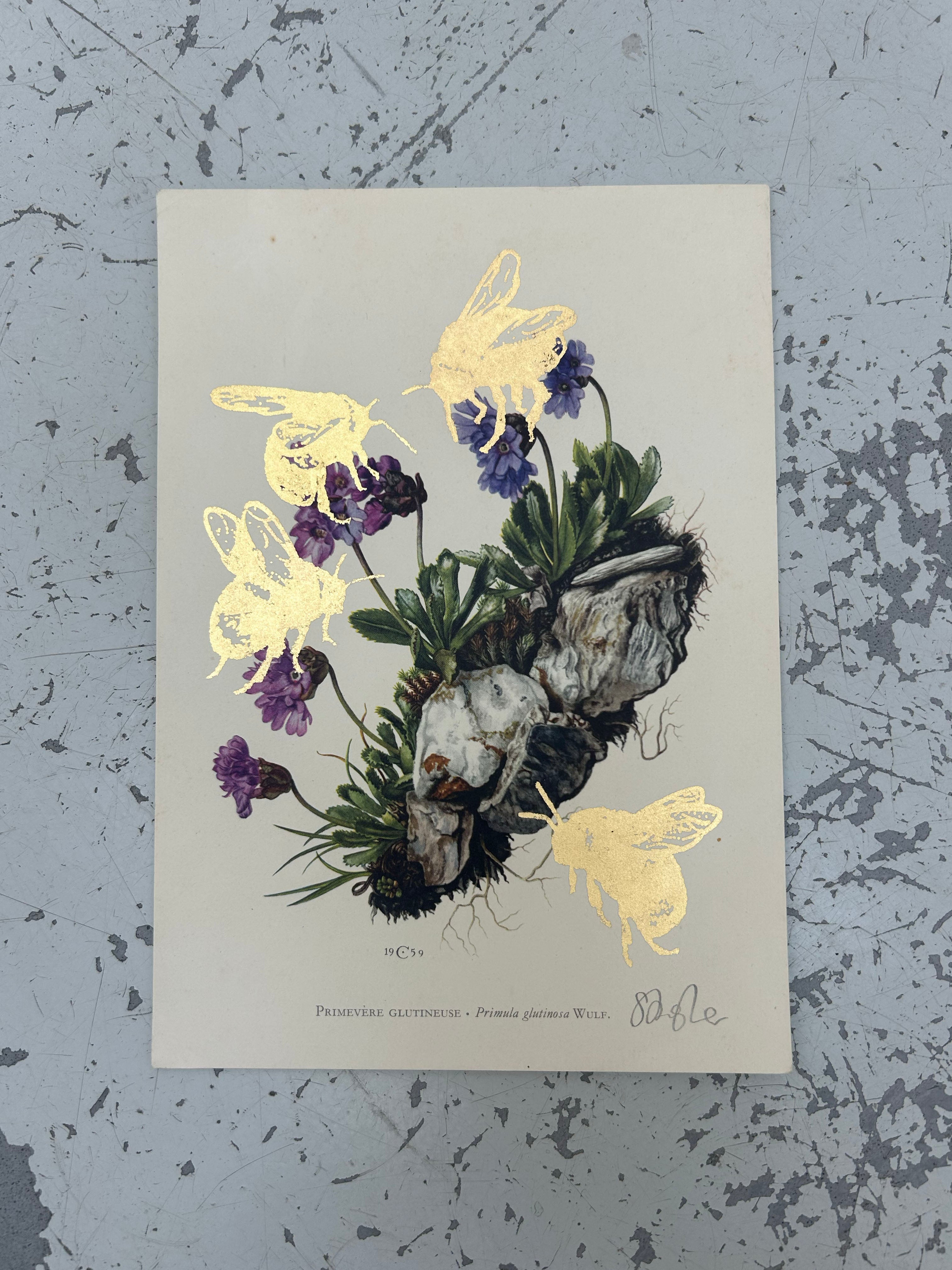 MORE BEES PLEASE (DROP 2) #3