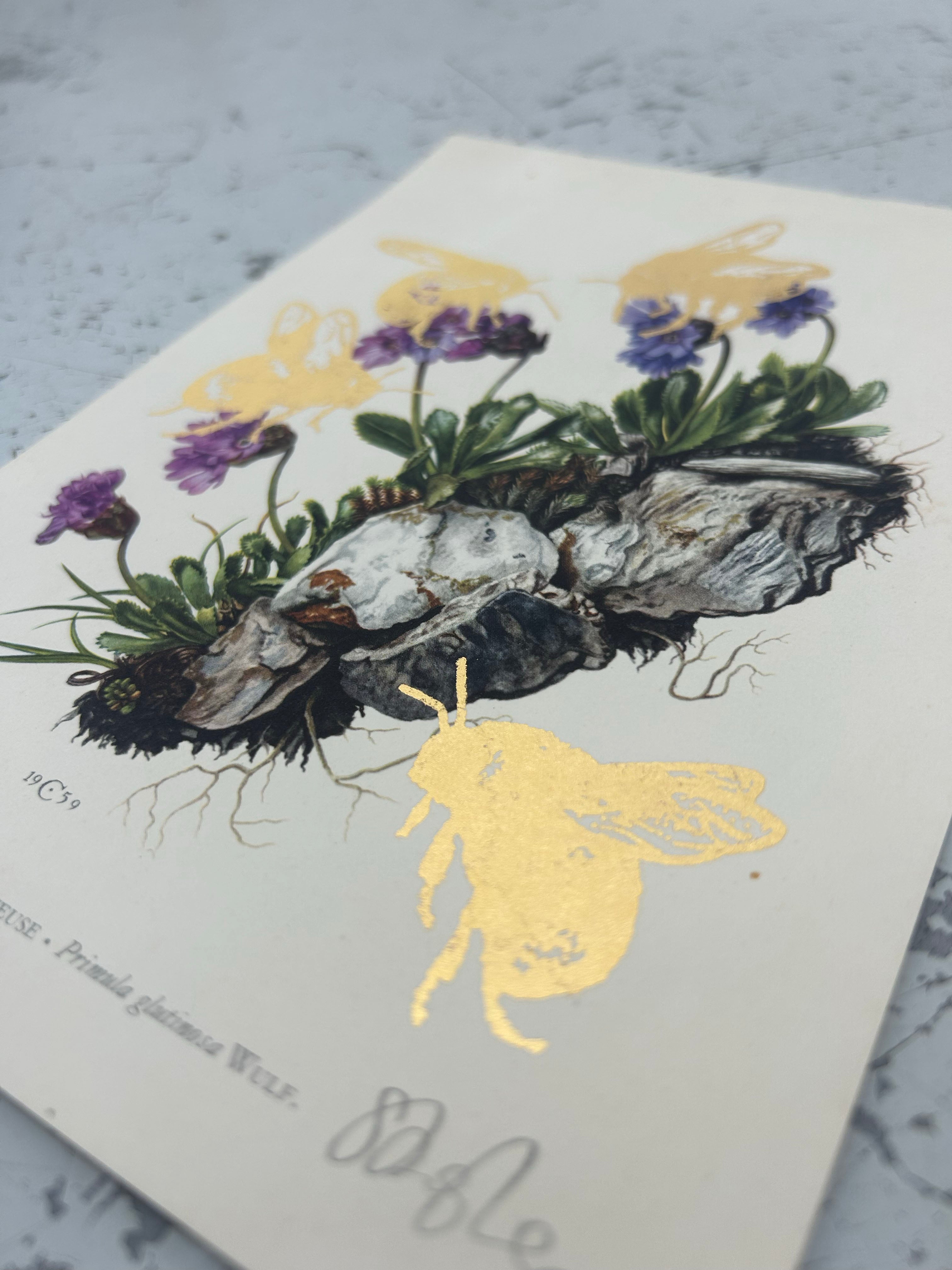 MORE BEES PLEASE (DROP 2) #3