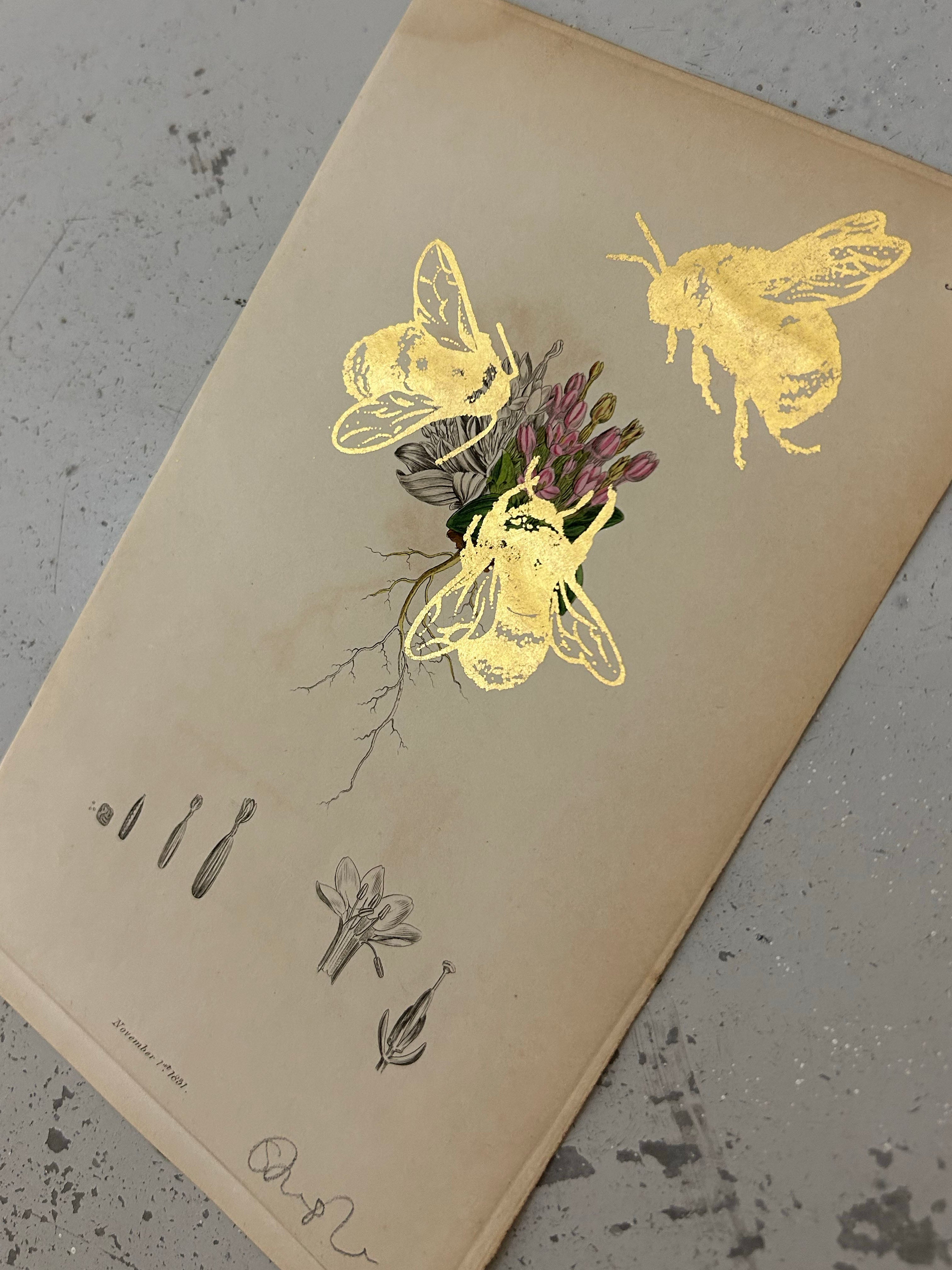 MORE BEES PLEASE #12