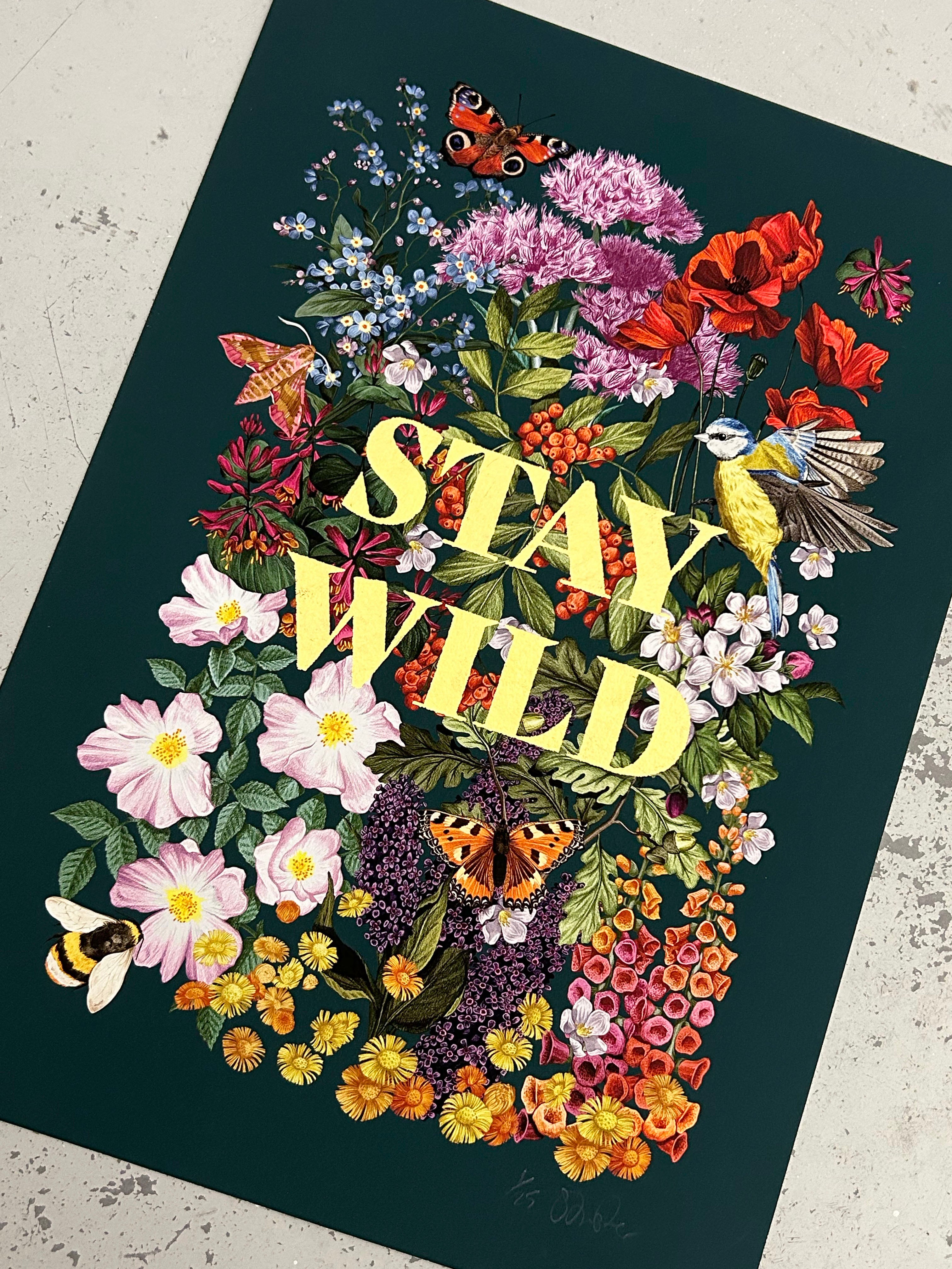 STAY WILD