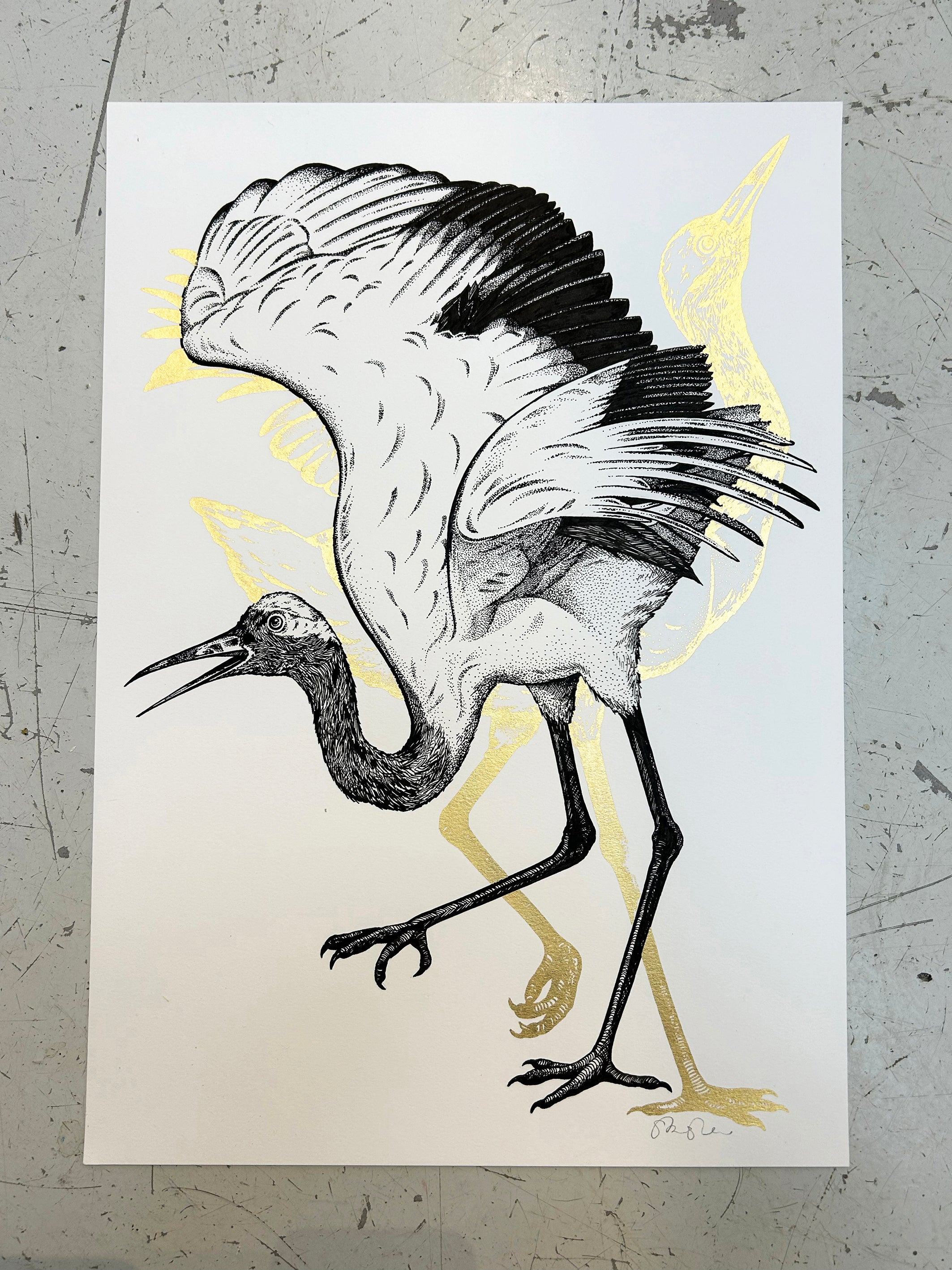 WHOOPING CRANE - ORIGINAL DRAWING